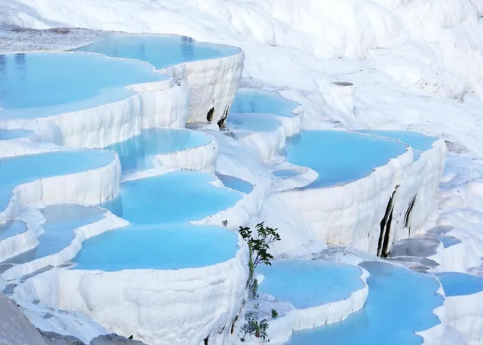 Otel Grand Ozfidan *